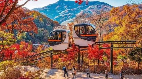 Seoul + Seoraksan + Nami Island 1-day tour/Chinese private charter (autumn-winter limited) Day Tours