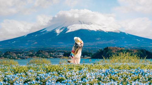 1-day Fuji Five Lakes Fall Foliage Tour: Lake Kawaguchi, Lake Yamanaka, Lawson, Hikawa Clock Shop