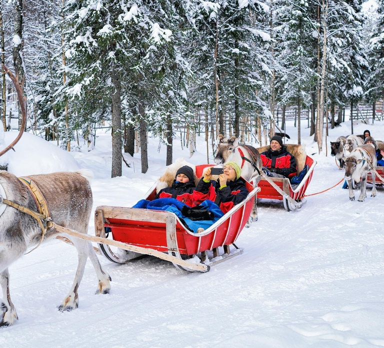 Rovaniemi: Reindeer Sleigh Ride with Hot Drink and Cookies