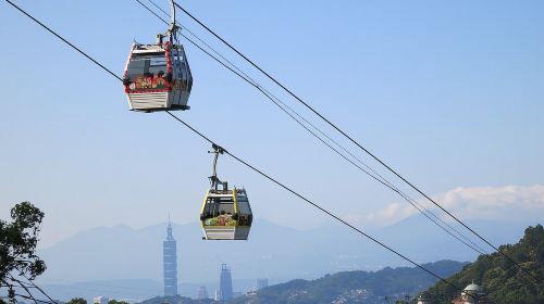 Pinglin Tea Culture & Maokong Day Tour from Taipei Day Tours