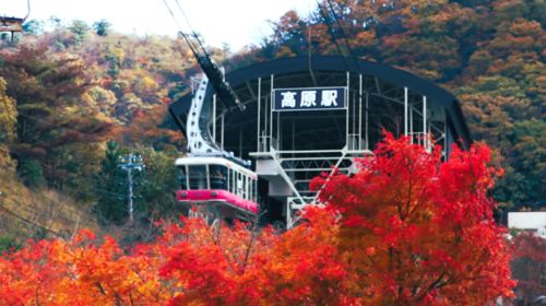 1-day tour to Dazaifu Tenmangu Shrine, Beppu and Lake Kinrin in Yufuin, Oita, Japan