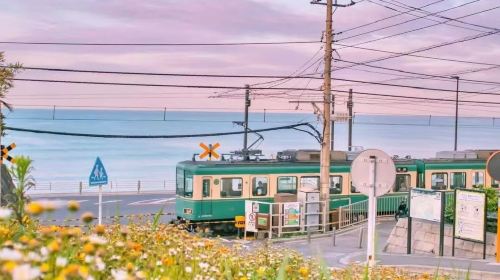 Kotoku-in + Komachi Street + Enoshima + Tsurugaoka Hachimangu one-day tour with free Enoden train experience
