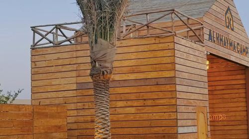 Dubai Desert Conservation Area one-day tour in Dubai, UAE Day Tours