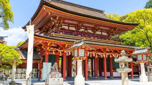 Dazaifu Tenmangu Shrine + Yanagawa Hakushu Sightseeing one-day tour[Private Small Group] Day Tours