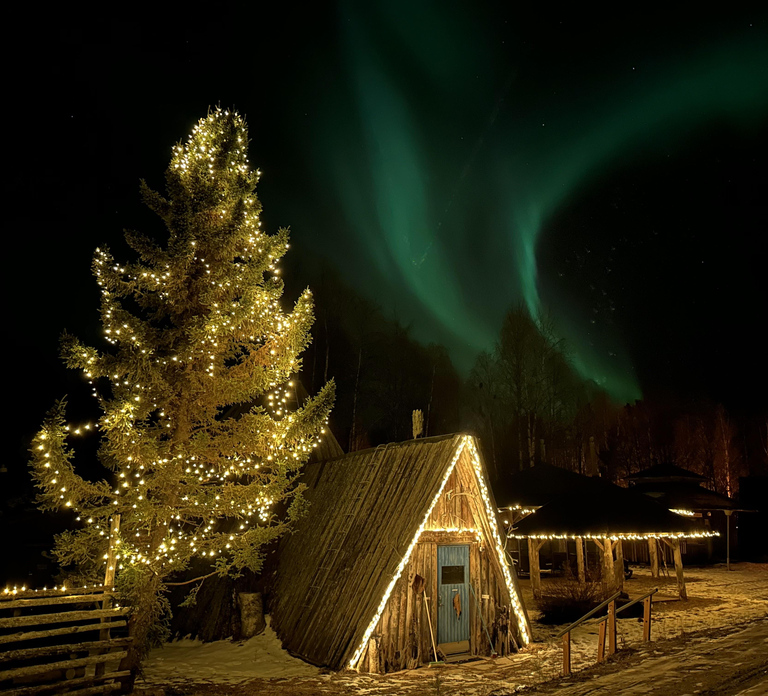 Rovaniemi:Northern Lights Small-Group Tour At Shaman Village