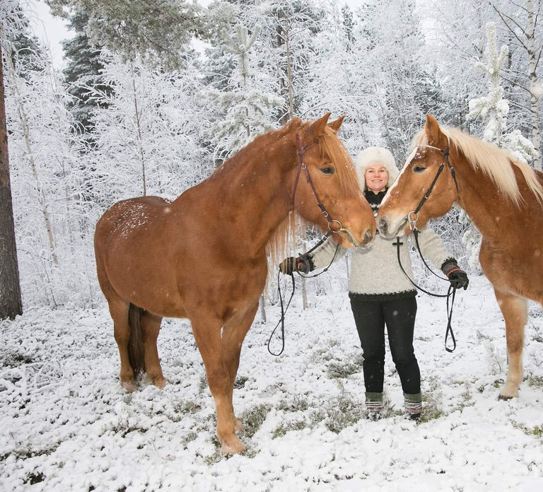 Rovaniemi: Late Night Ride with Finnhorses
