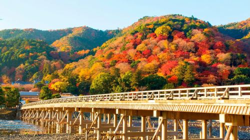 Osaka to Kyoto: Arashiyama Bamboo Grove Small Group Tour Day Tours