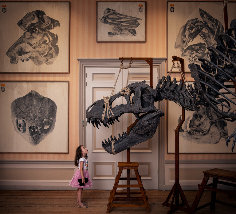 Art Zoo Museum: Art meets nature in a 17th-Century House