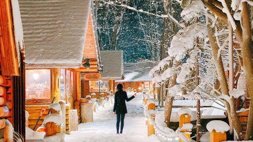 1-day tour to Hokkaido Forest Elf Terrace + Asahiyama Zoo + Shirahige Waterfall + Shirogane Blue Pond (Aoiike) Day Tours