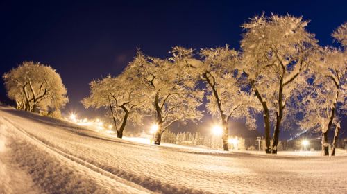 Maiko Snow Resort Ski Center