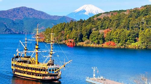 Hakone Owakudani and Lake Yamanaka Day Tour, Free Hakone Ropeway, Optional 9-Person Small Group Transfer