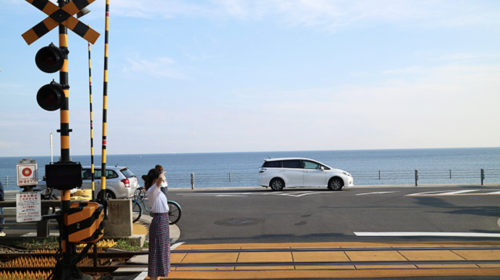 Depart from Tokyo | Tokyo Kamakura Hasedera Temple Day Tour - 24