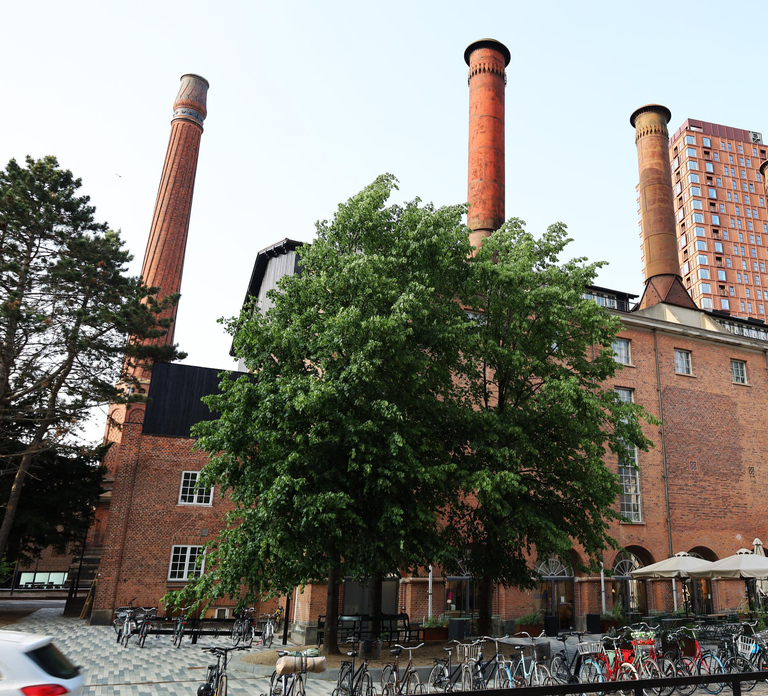 Copenhagen: Industrial past and Carlsberg City Walking Tour