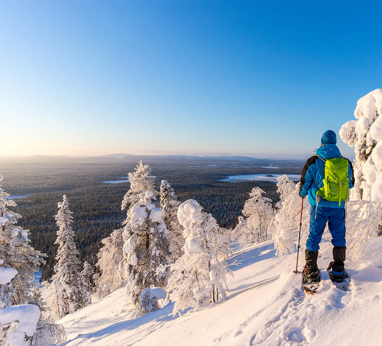 Rovaniemi: Hiking and Snowshoeing Adventure in Lapland