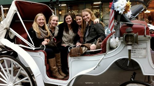 Central Park Private Horse and Carriage Tour Day Tours