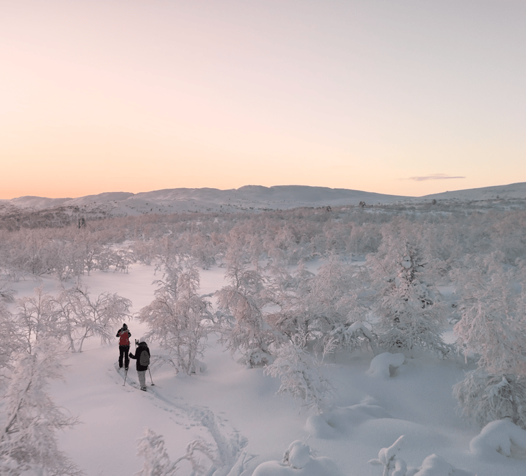 Muotkatunturi Nature Reserve: Snowshoeing or Arctic Skiing Adventure