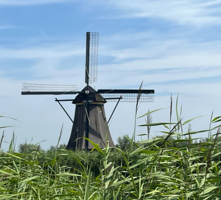 Kinderdijk Windmills, Delft City & Delft Blue Factory Visit