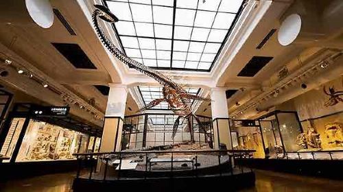 National Museum of Nature and Science