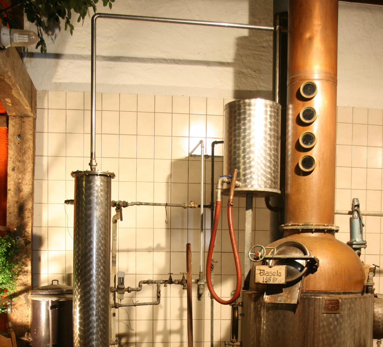 Eifel: Guided tour of historic watermill in the Vulkaneifel region