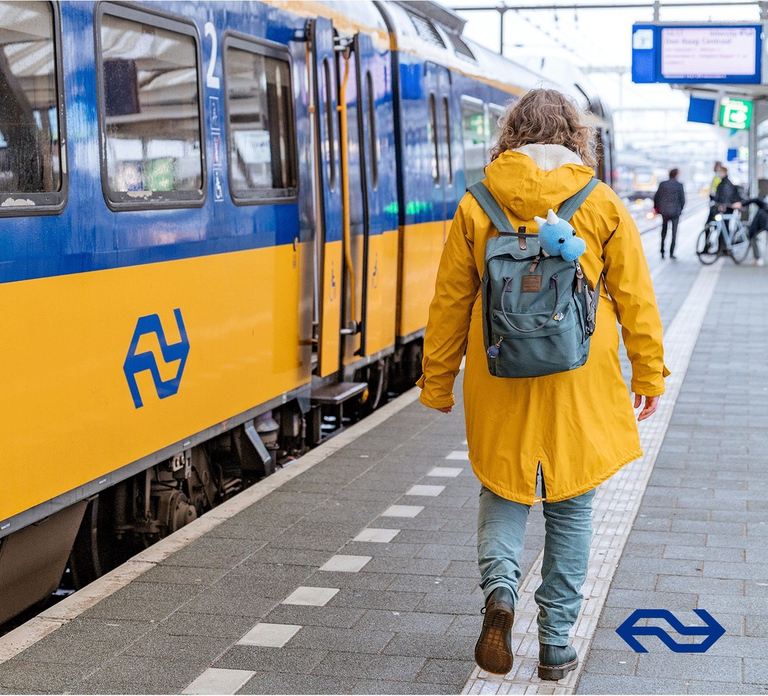 Amsterdam/Rotterdam: One-Way Train Ticket