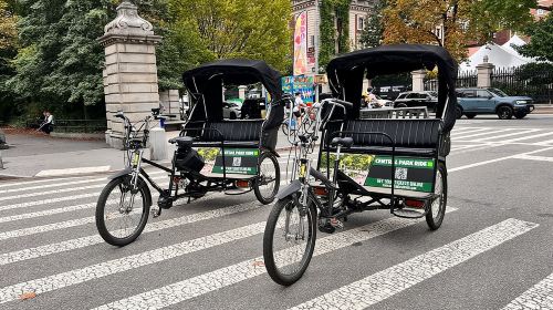  Official Central Park Pedicab Tours Day Tours