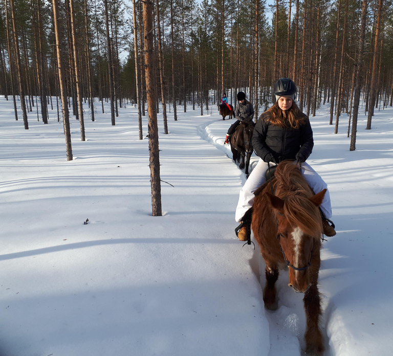 Simo: Private 2-Hour Horseback Riding Tour