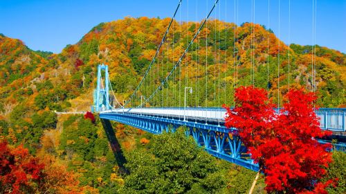 Tokyo: Autumn Hitachi Seaside Park, Fukuroda Falls & Ryujin Day Tours