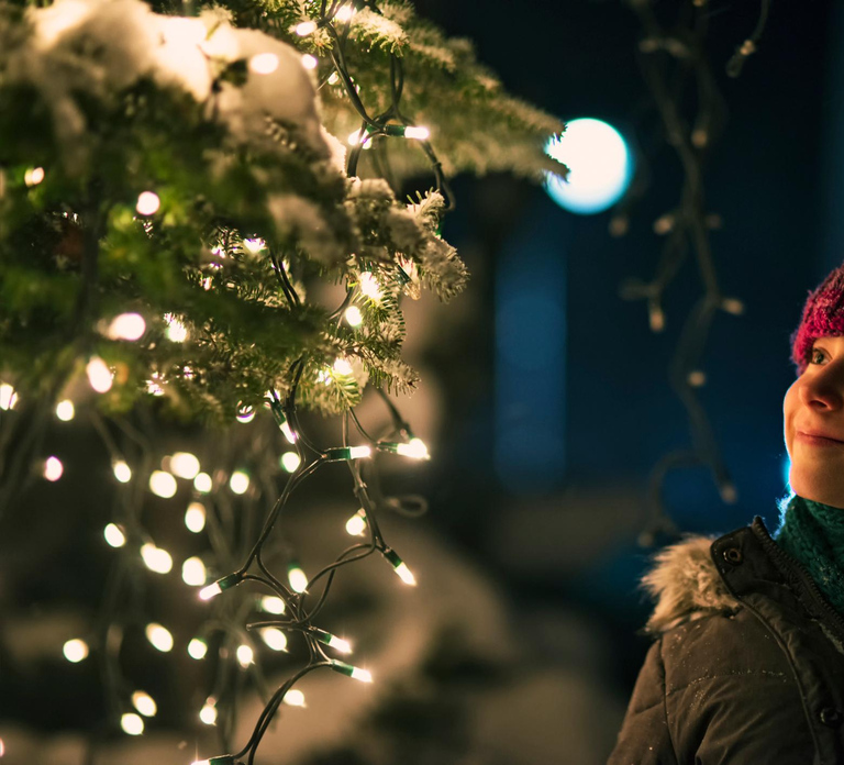 Geneva’s Winter Wonderland: A Festive Christmas Private Tour