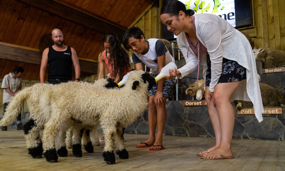 Farm Experience