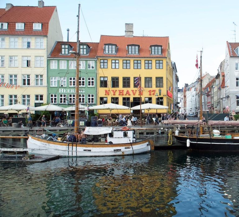 Copenhagen: Maxitour in English