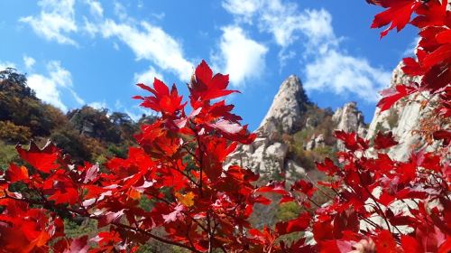Mt. Seorak+Nami Island+Garden of Morning Calm Day Trip from Seoul
