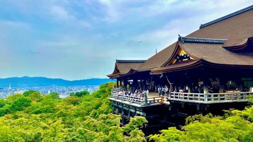 Kyoto: Golden Route Sightseeing Tour via Bus with Lunch Day Tours