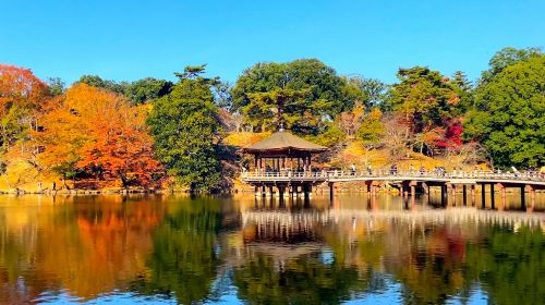 Nara Park + Arashiyama + Kinkaku-ji + Fushimi Inari Taisha one-day tour [includes meal] Day Tours
