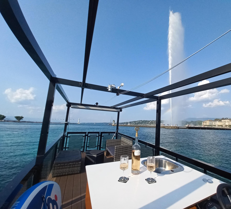 GENEVA: PRIVATE 360° LAKE CRUISE WITH APERITIF