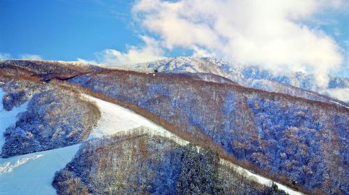 Nozawa Onsen Snow Resort