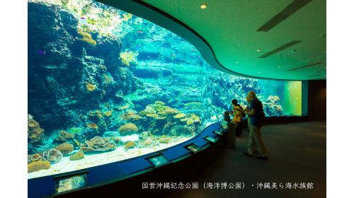 Okinawa Churaumi Aquarium - HolidaySG