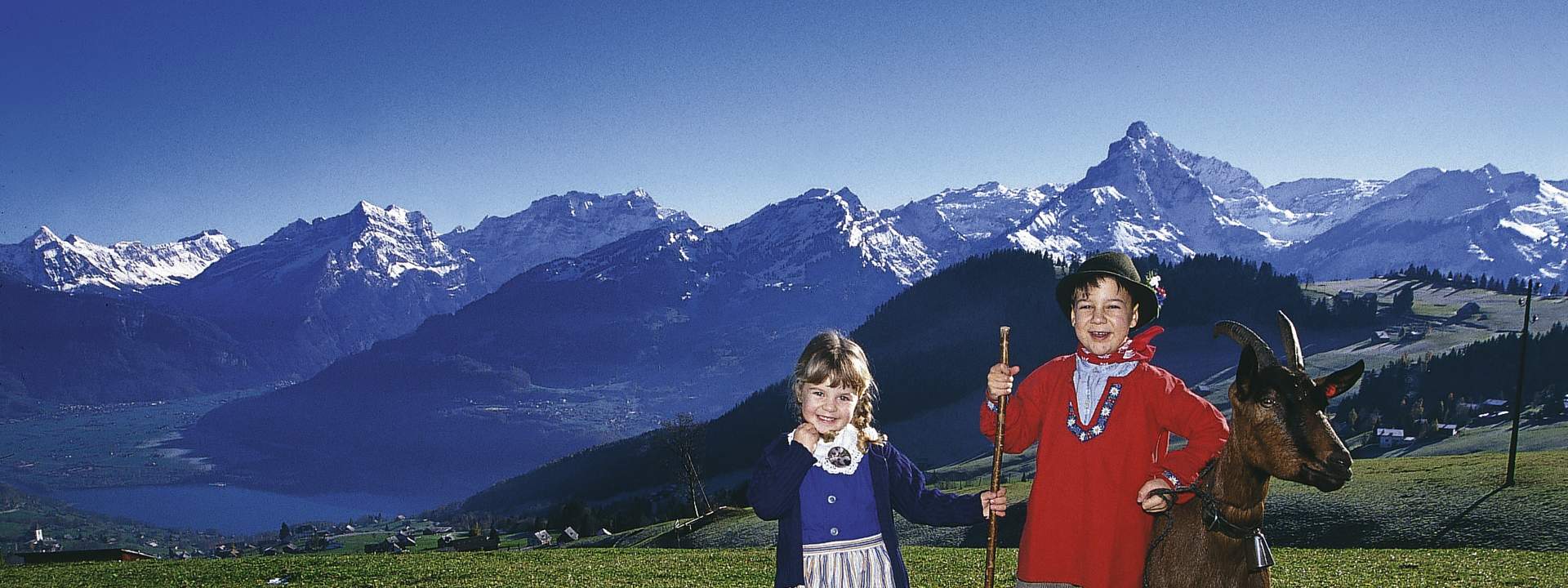 Heidiland & Liechtenstein Day Tour from Zurich