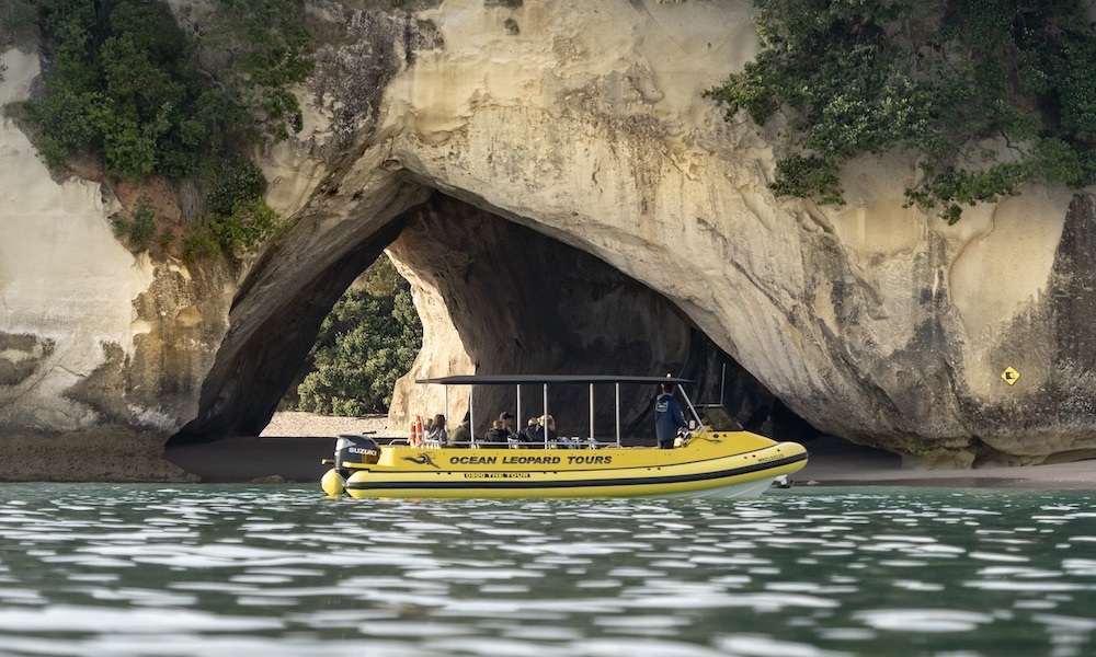 Cathedral Cove Boat Tour - HolidaySG