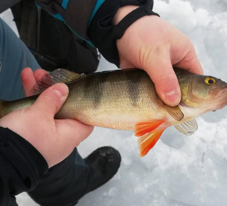 Kemi-Tornio: Ice Fishing Safari with Snowmobiles