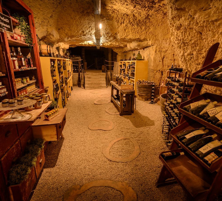 Amboise: Caves Ambacia Visit and Wine Tasting