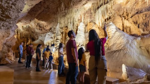 San Antonio: Natural Bridge Caverns Hidden Wonders Tour Day Tours