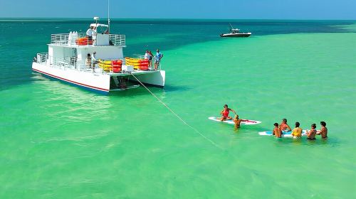 All-Inclusive Sandbar Safari with Dolphin Playground Encounter  Day Tours