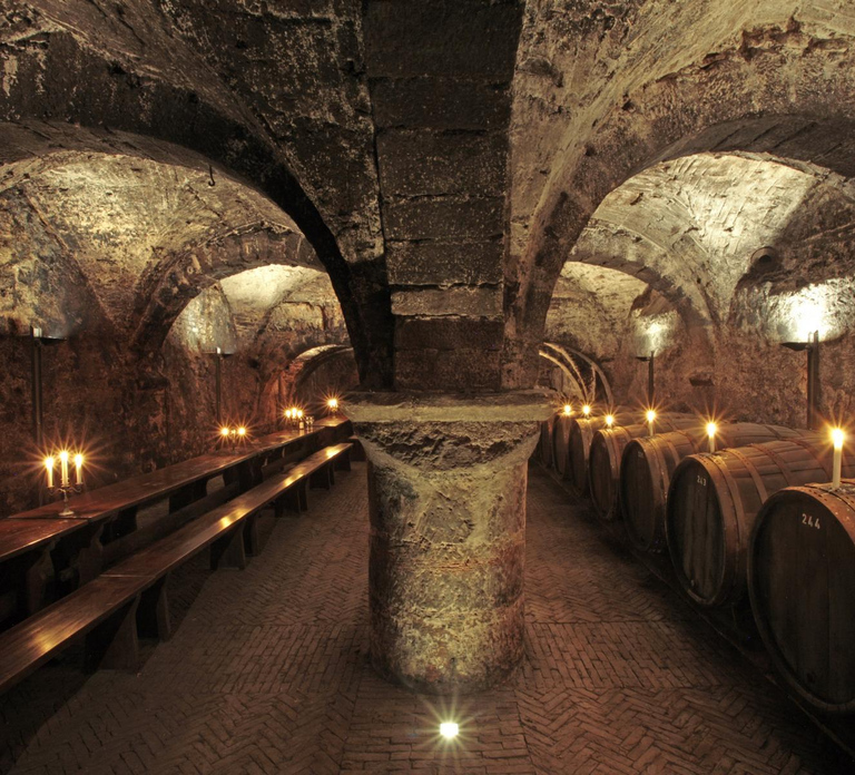 Trier: Discovery Tour – Germany's Oldest Wine Cellar
