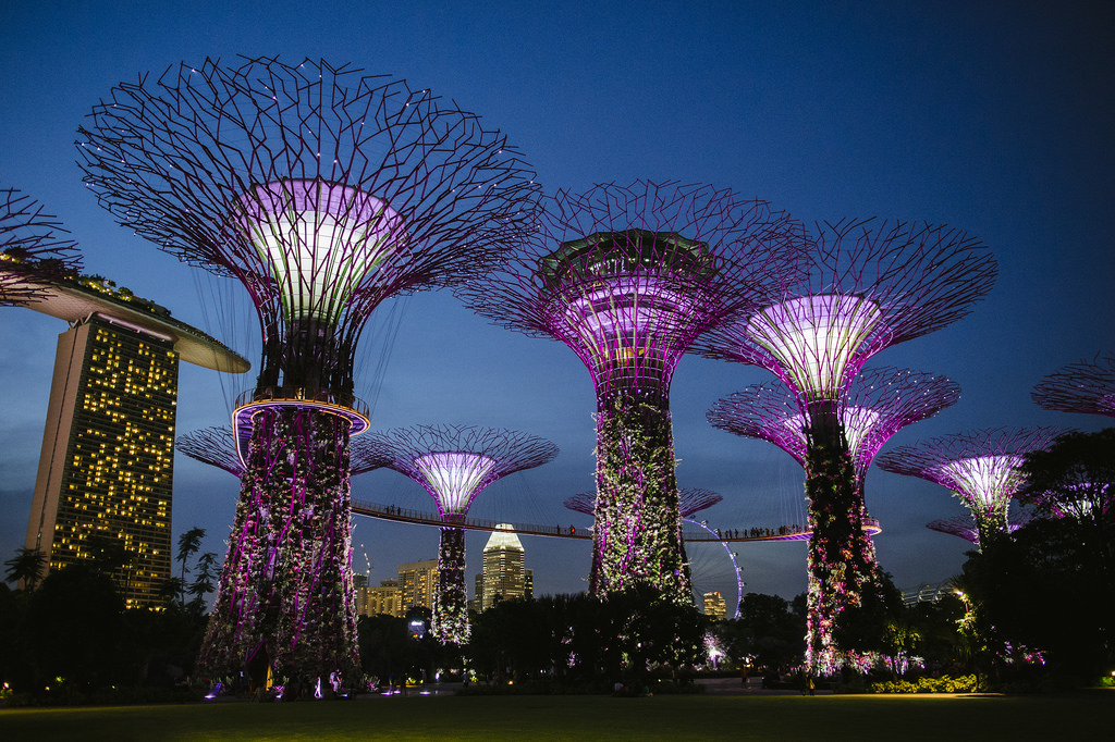 Gardens by the Bay (Demo).