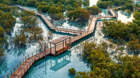 Jubail Mangrove Park - Boardwalk Experience - HolidaySG