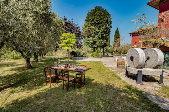 Aperitif at The Oil Mill with Tasting of Olive Oil at Lake Garda