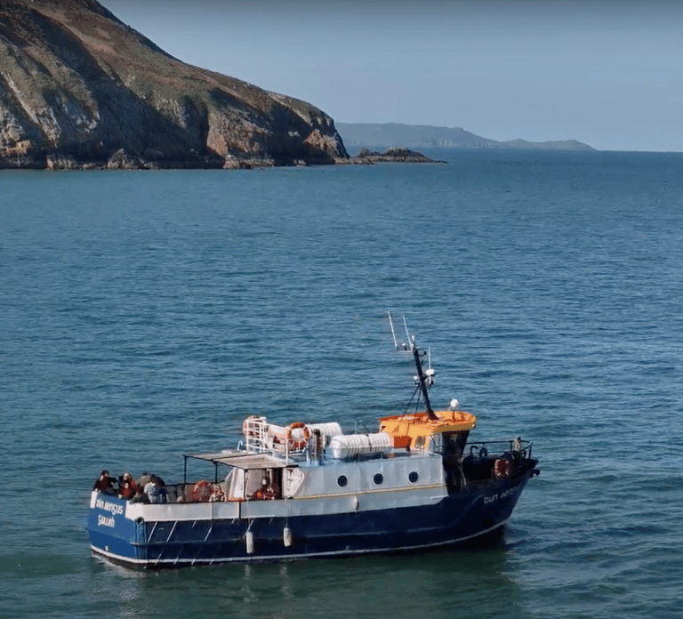 Dublin: Howth Cliffs and Ireland's Eye Combo Boat Tour
