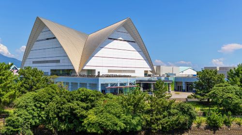 Kagoshima City Aquarium