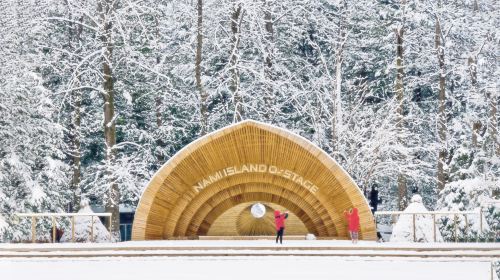 From Seoul: Nami Island + Eobi Valley + Alpaca World + The Garden of Morning Calm Day Tours
