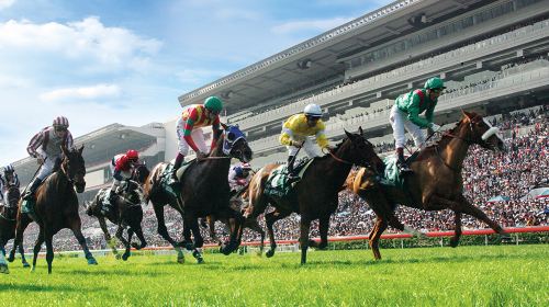 Sha Tin Racecourse